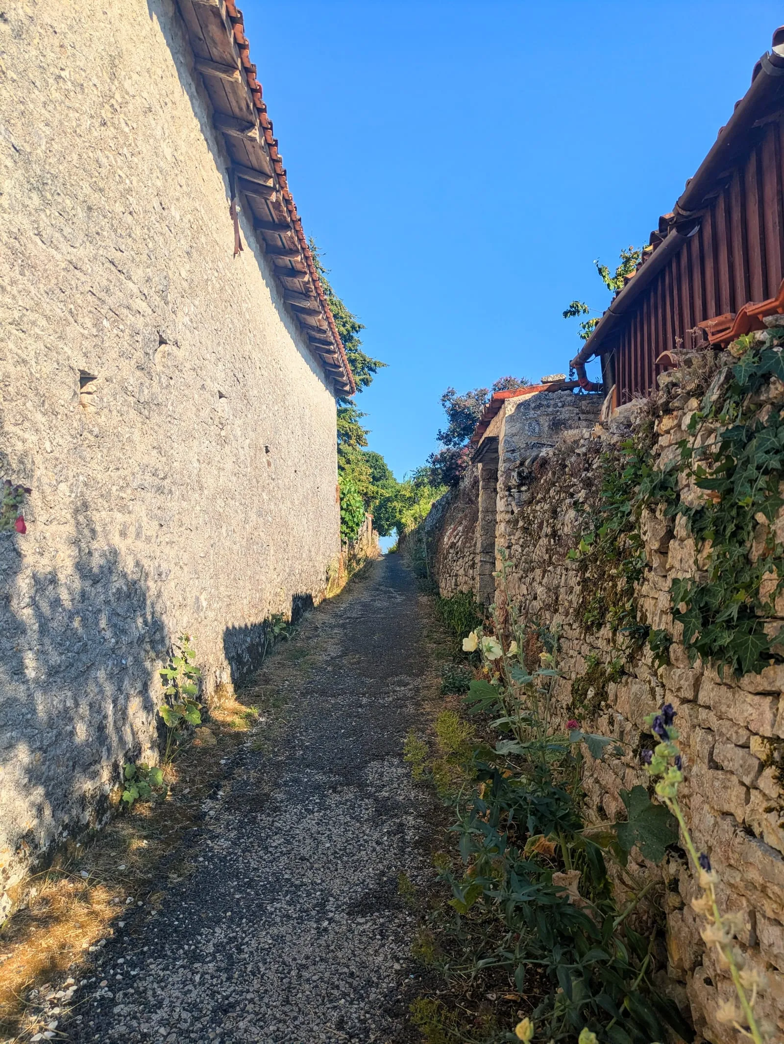 A narrow lane in Verteuil village, stone walls on both sides, hollyhocks and wildflowers growing along the walls under a deep blue sky